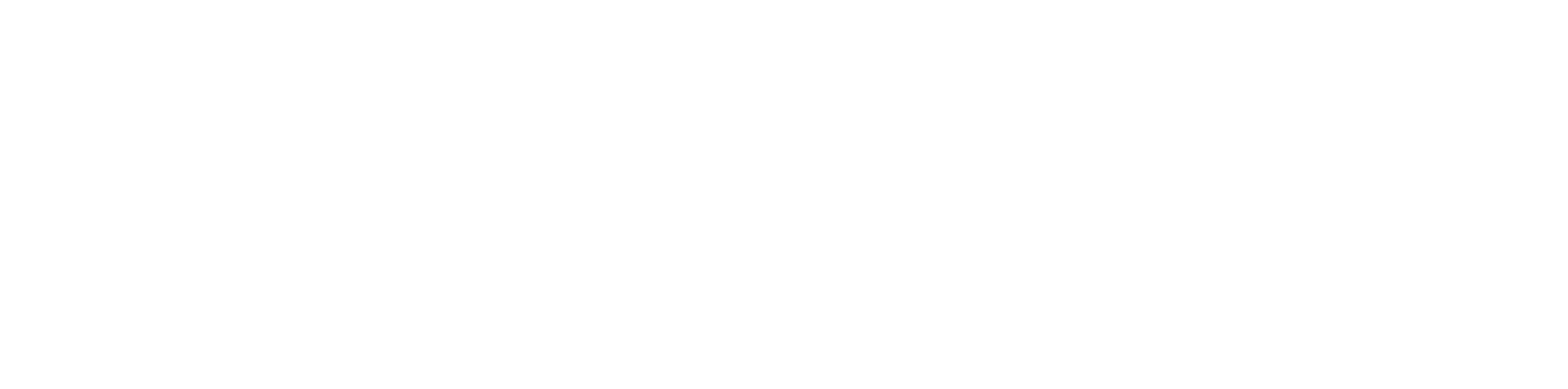 Metric Logo